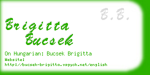 brigitta bucsek business card